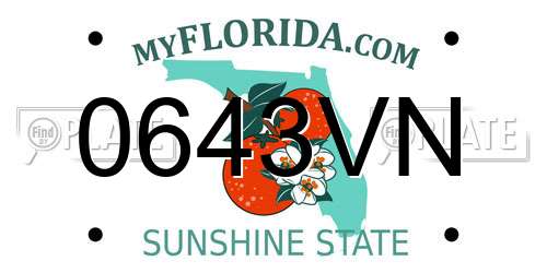 0643VN Florida License Plate