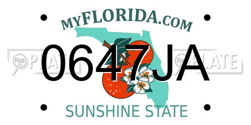 0647JA Florida License Plate
