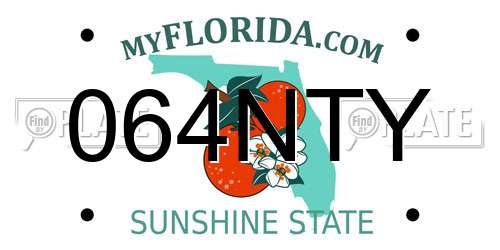 064NTY Florida License Plate