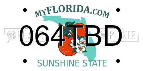 064TBD Florida License Plate