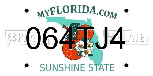 064TJ4 Florida License Plate