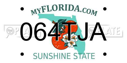 064TJA Florida License Plate