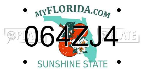 064ZJ4 Florida License Plate