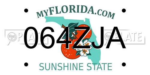 064ZJA Florida License Plate