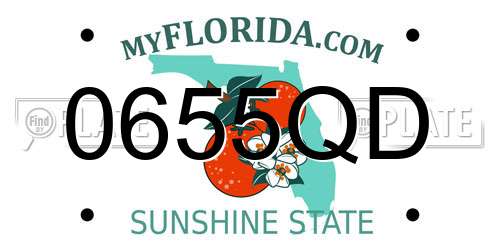 0655QD Florida License Plate