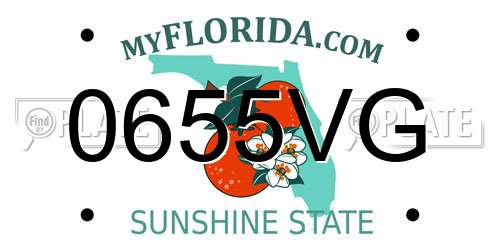 0655VG Florida License Plate