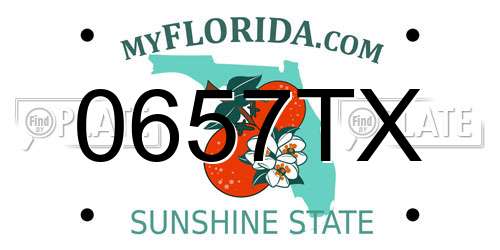 0657TX Florida License Plate