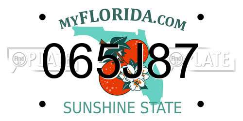 065J87 Florida License Plate