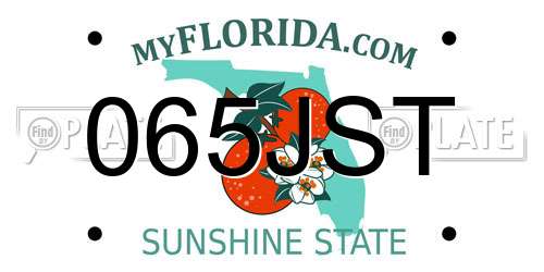 065JST Florida License Plate