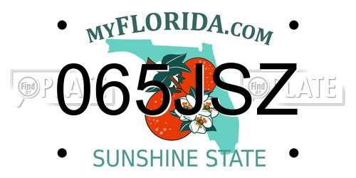 065JSZ Florida License Plate
