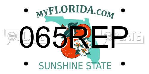 065REP Florida License Plate