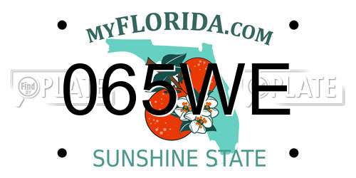 065WE Florida License Plate