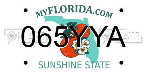 065YYA Florida License Plate