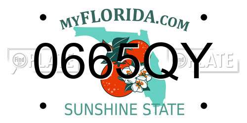 0665QY Florida License Plate