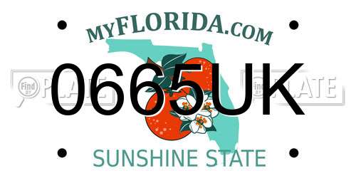 0665UK Florida License Plate