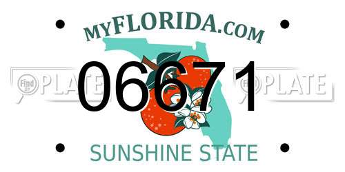 06671 Florida License Plate
