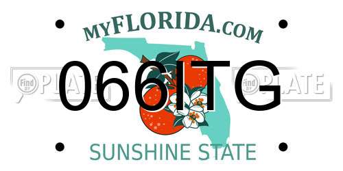 066ITG Florida License Plate