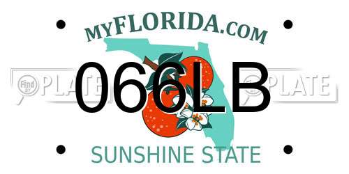 066LB Florida License Plate