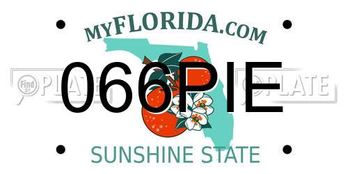 066PIE Florida License Plate