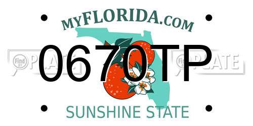0670TP Florida License Plate