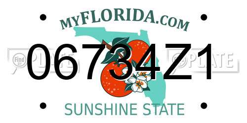 06734Z1 Florida License Plate
