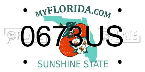 0673US Florida License Plate