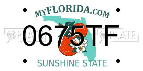 0675TF Florida License Plate