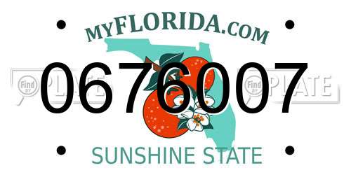 0676007 Florida License Plate