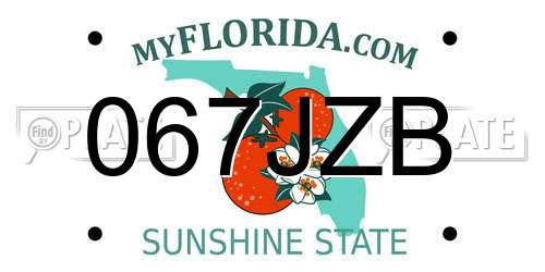 067JZB Florida License Plate