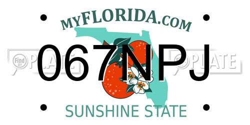067NPJ Florida License Plate