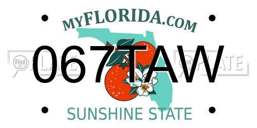 067TAW Florida License Plate