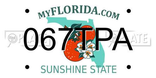 067TPA Florida License Plate