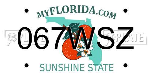 067WSZ Florida License Plate