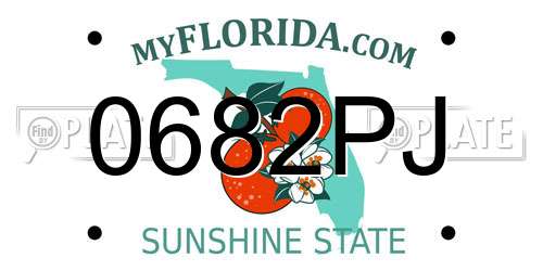 0682PJ Florida License Plate