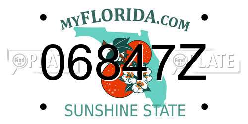 06847Z Florida License Plate