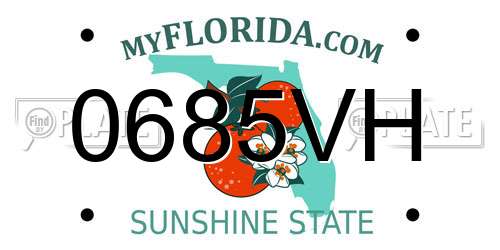 0685VH Florida License Plate