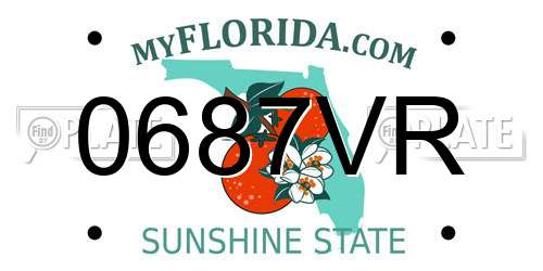 0687VR Florida License Plate