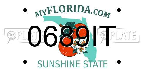 0689IT Florida License Plate