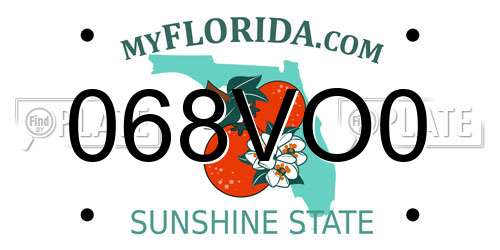 068VO0 Florida License Plate