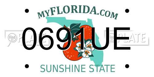 0691UE Florida License Plate