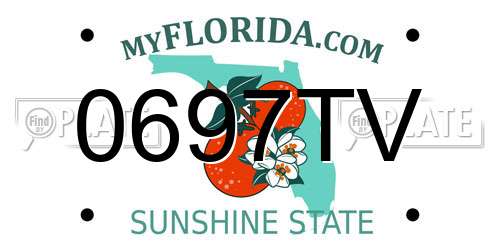 0697TV Florida License Plate