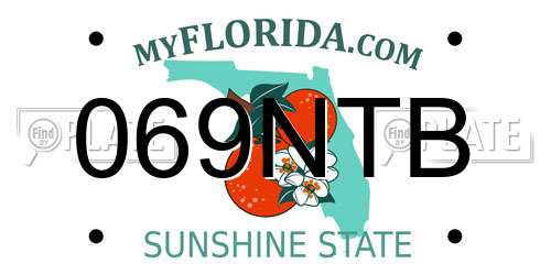 069NTB Florida License Plate