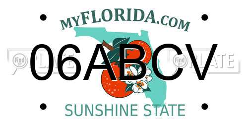 06ABCV Florida License Plate