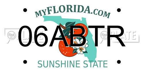 06ABTR Florida License Plate
