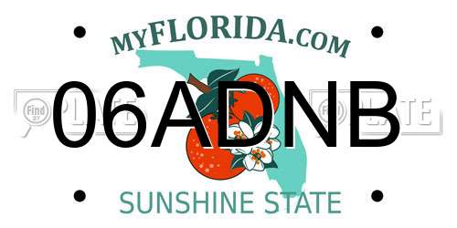 06ADNB Florida License Plate