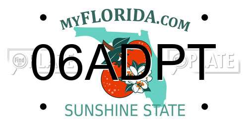 06ADPT Florida License Plate