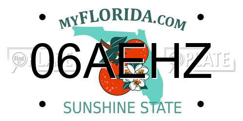 06AEHZ Florida License Plate