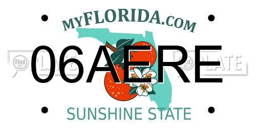 06AERE Florida License Plate
