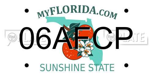 06AFCP Florida License Plate