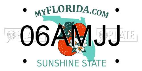 06AMJJ Florida License Plate